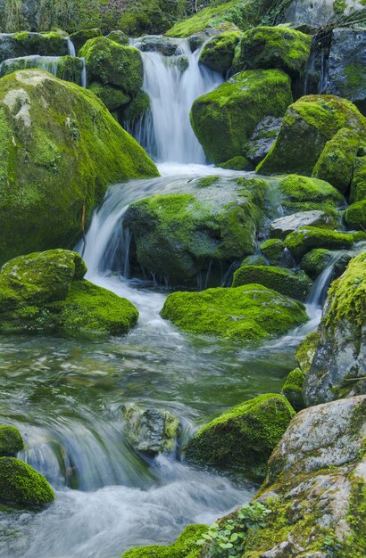 Photo arritzaga erreka amezketa waterfall in the natural park of the sierra de aralar gipuzkoa euskadi