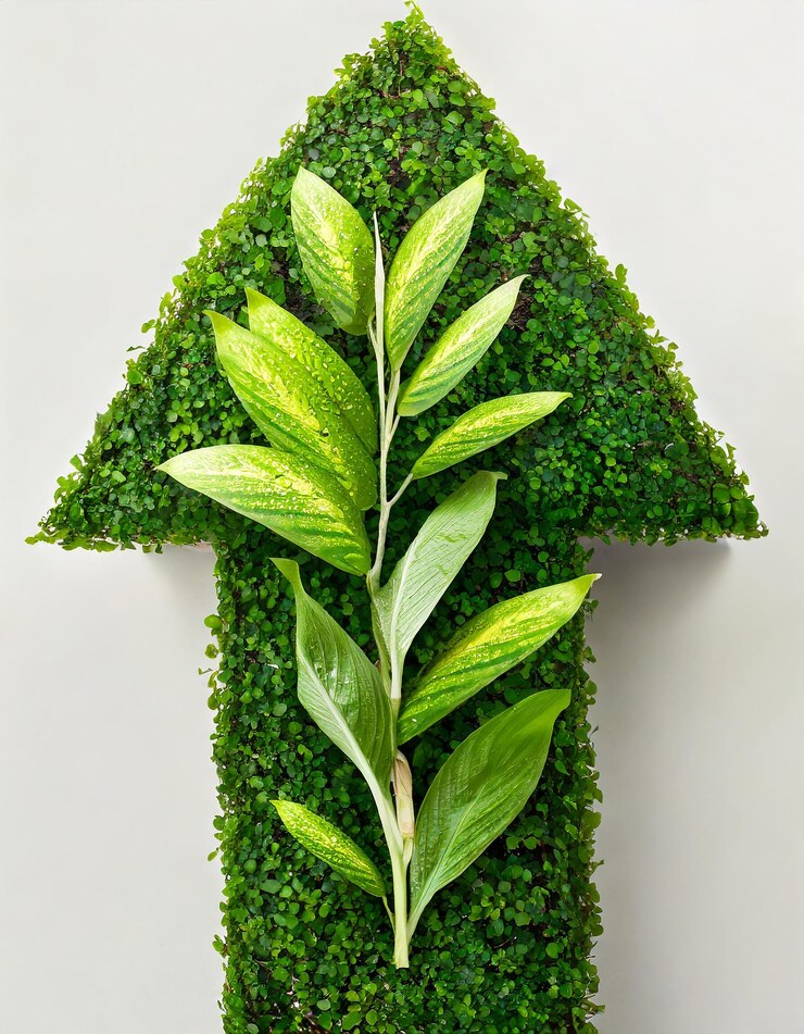 Photo arrow covered with green plant isolated on white background