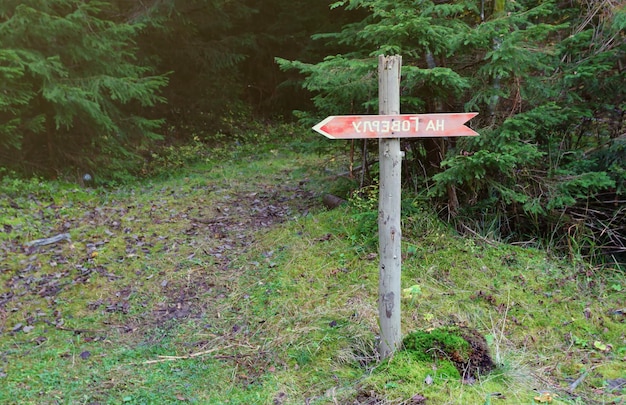 Photo arrow sign to mount hoverla direction hanging peak of ukrainian carpathians