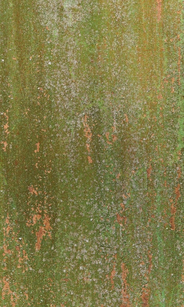 Art abstract grunge green paint background in shades of green and old gold colors