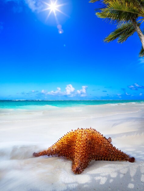 art Beautiful sea beach on a Caribbean island