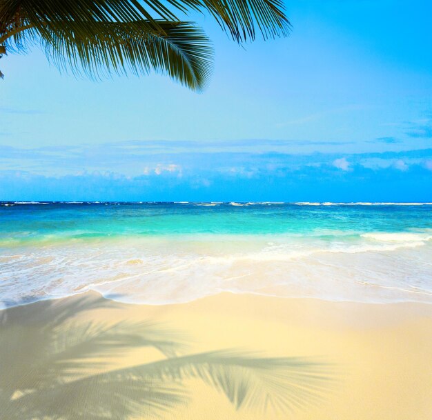 Photo art beautiful untouched tropical sea beach