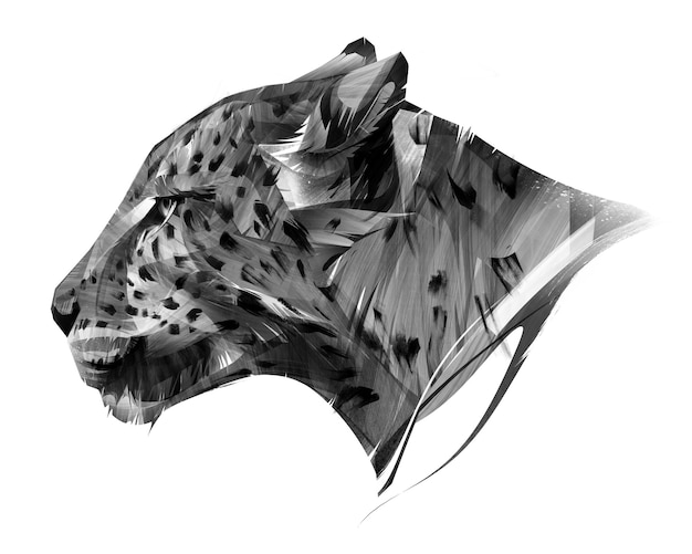 Photo art cheetah face on a white background