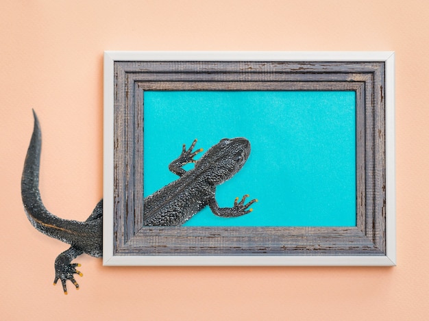 Art collage black lizard crawling between the frame and the wall