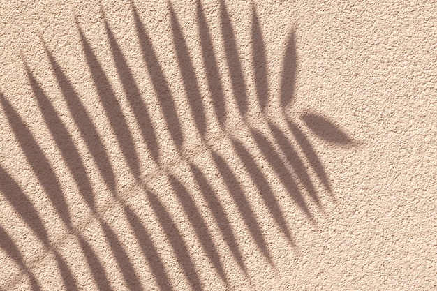 Художественное оформление минимальный тропический узор дизайна Пальмовая ветвь с тенью на бежевой гранжевой бетонной стене Светло-коричневая натуральная зернистая текстура абстрактный фон Концепция летнего пляжного отдыха