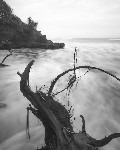 Art photo of the beach with flowing waves