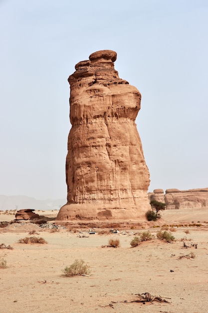 사막의 예술 바위 닫기 Al Ula Saudi Arabia