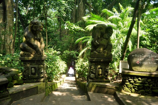 Art sculpture and carved antique deity angel god of hindu\
statue balinese style in mandala suci wenara wana or ubud sacred\
monkey forest sanctuary at ubud city in bali indonesia