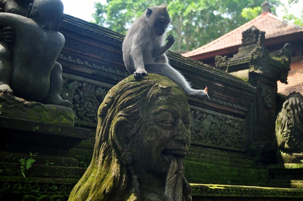 만다라 수시 웨나라 와나(Mandala Suci Wenara Wana) 또는 발리 인도네시아 우붓(Ubud) 시의 우붓 신성한 원숭이 숲 보호구역(Ubud Sacred Monkey Forest Sanctuary)에 있는 힌두교 동상 발리 스타일의 예술 조각과 조각된 골동품 신천사
