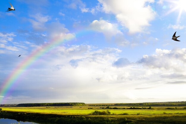 art summer scene panorama of nature after the rain