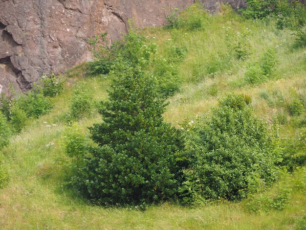 Arthur's Seat in Edinburgh