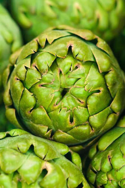 Photo artichoke background