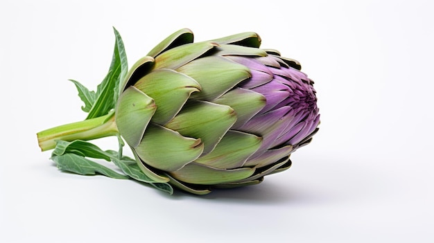 Artichoke isolated on a white background