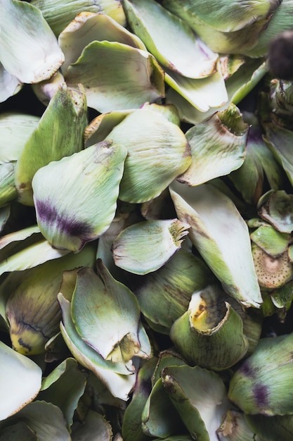 Artichoke leaves Raw artichoke leaves texture