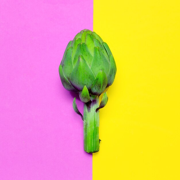 Foto pianta di carciofo concetto di design vegano minimal