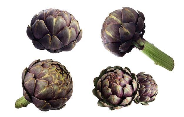 Foto artichocche set fresche verdure viola ritaglio di primo piano cibo crudo dieta biologica concetto percorso di ritaglio