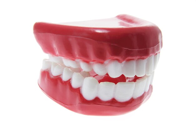 Artificial Dentures