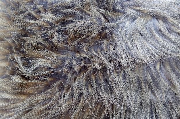 Artificial faux fur background