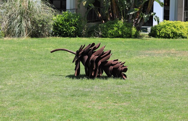 artificial fir cone on the grass