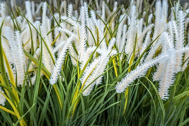 造花や草、装飾的な家のインテリア