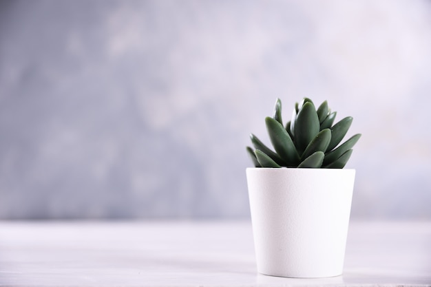 Artificial flowers grass different form in a pot on wooden background close up with copy space and text