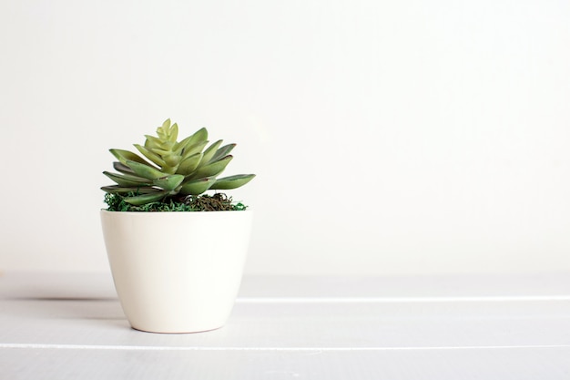 Fiori artificiali su uno sfondo bianco, decorazioni per la casa