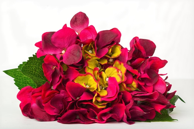 Artificial flowers on a white neutral background