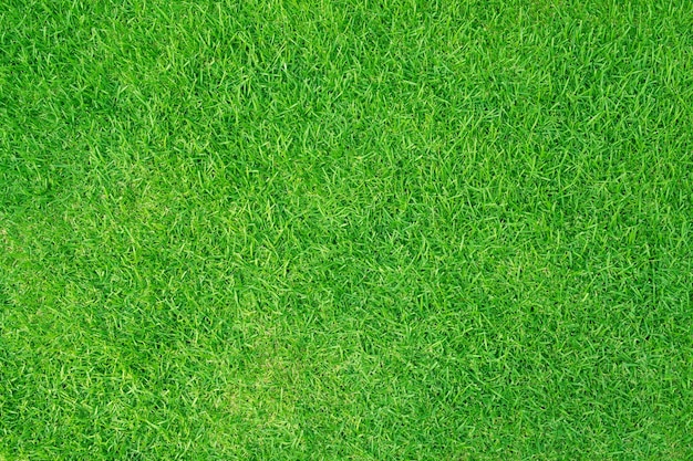 Artificial grass field meadow green Top View Texture