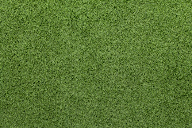 Artificial Grass Field Texture