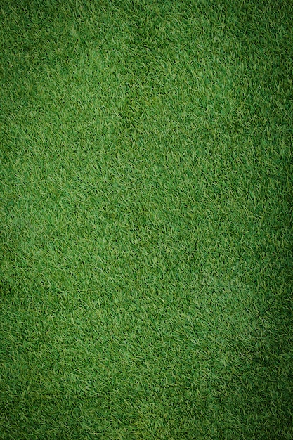 Photo artificial grass field top view texture.