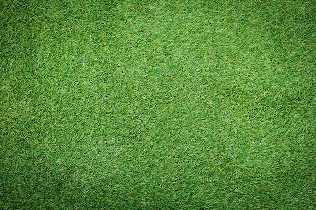 Artificial Grass Field Top View Texture.