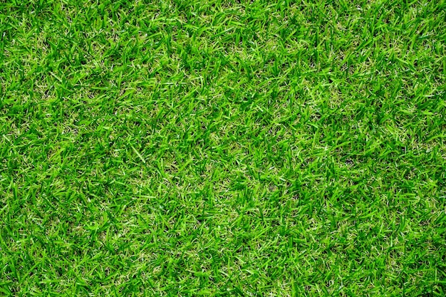 Artificial Grass Field Top View Texture