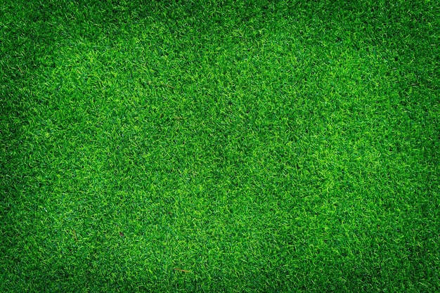 Artificial grass green background