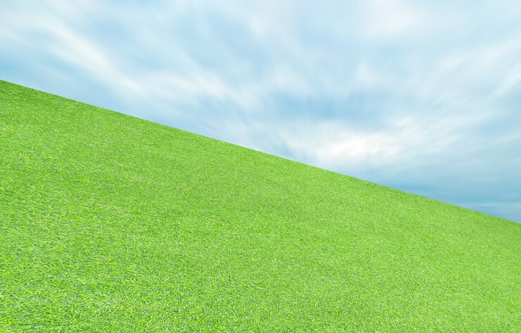 Photo 인공 잔디 녹색 잎과 하늘