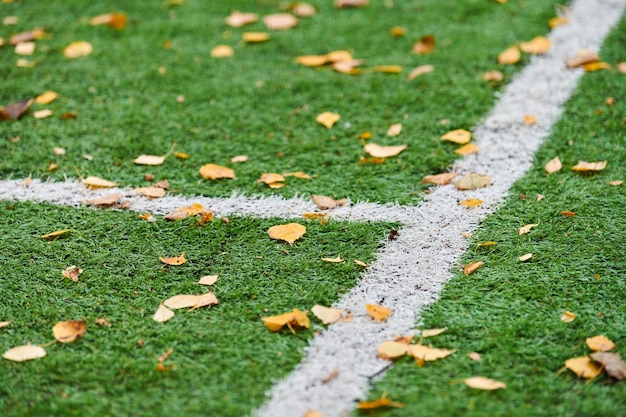 Artificial grass on a sports field