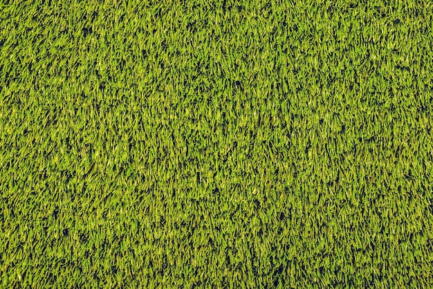 Artificial grass texture for background