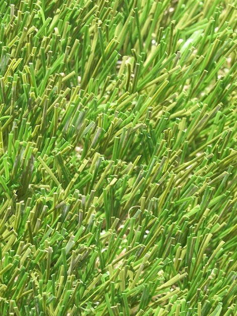 Artificial grass texture