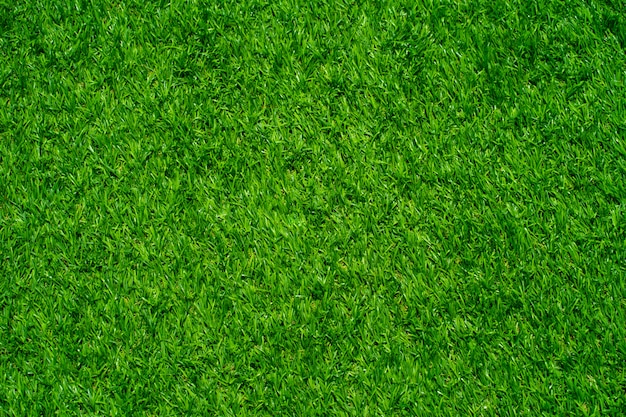 Photo artificial grass texture