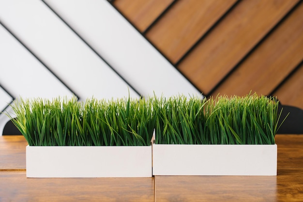 Artificial grass in a white rectangular pot on the desk in the office