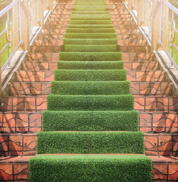 Artificial Grass with Stone stairway.