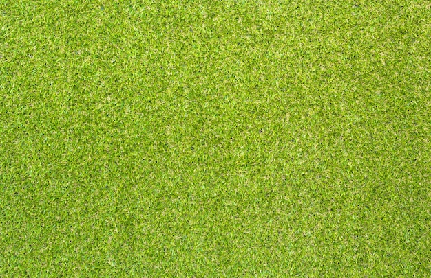 Artificial grass