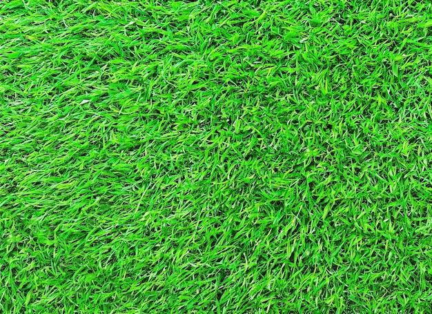 Artificial green grass Background