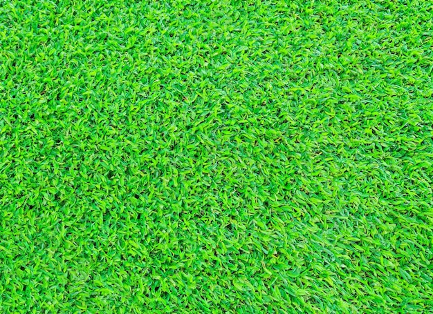 Artificial green grass Background