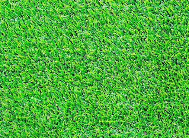 Artificial green grass Background