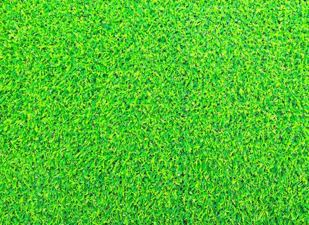 Artificial green grass Background