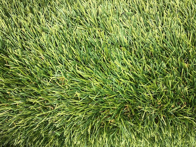 Photo artificial green grass made from plastic