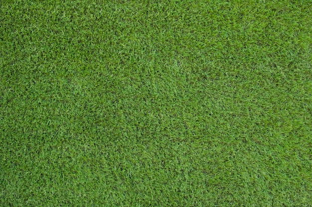 Photo artificial green grass text and background