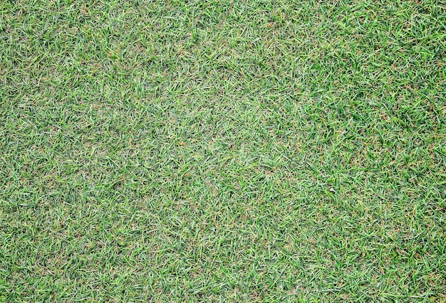 Artificial green grass texture can be use as background