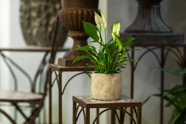 Artificial green petals in a pot on a metal stand in the blurry background art objects