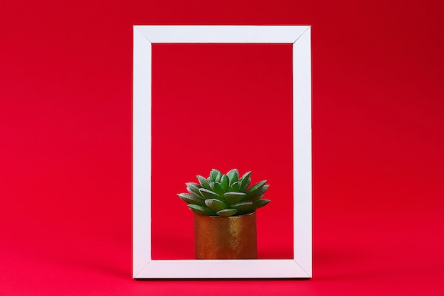 Artificial green plant in pot in white frame